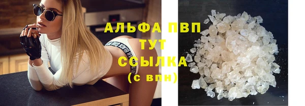 хмурый Гусь-Хрустальный