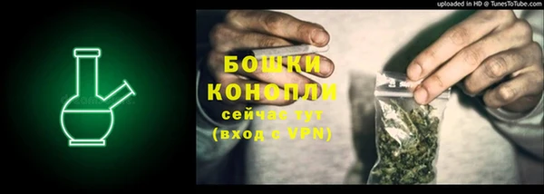 прущий лед Бородино