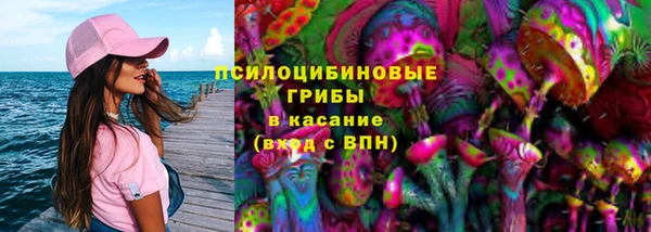 прущий лед Бородино