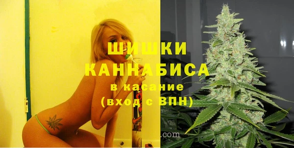 прущий лед Бородино